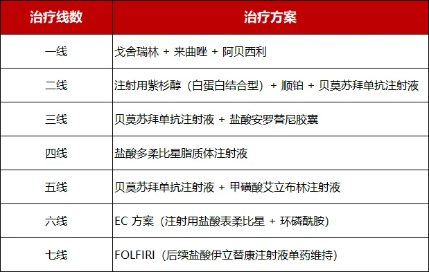 Table listing the patient's seven lines of advanced systemic therapy